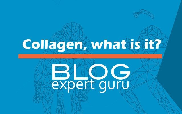 Collagen, what is it?