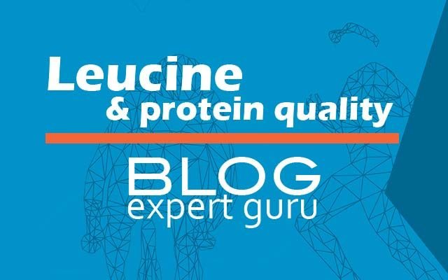How Leucine improves protein quality